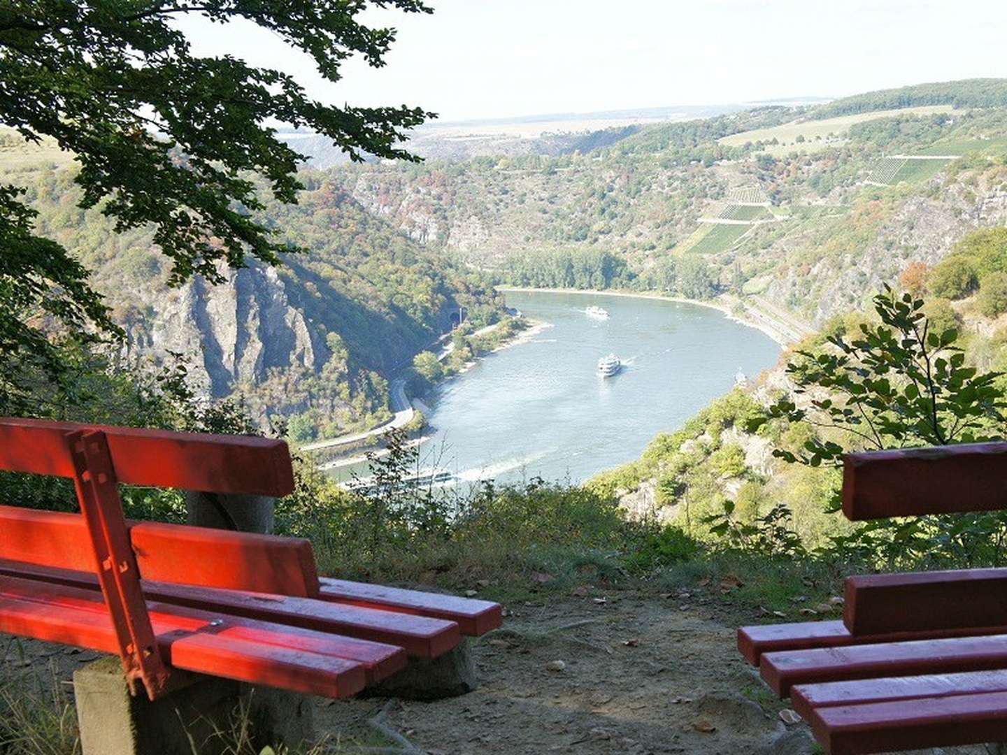 Genussradeln am Rhein, entlang der Burgen und Schlösser, 3 Übernachtungen