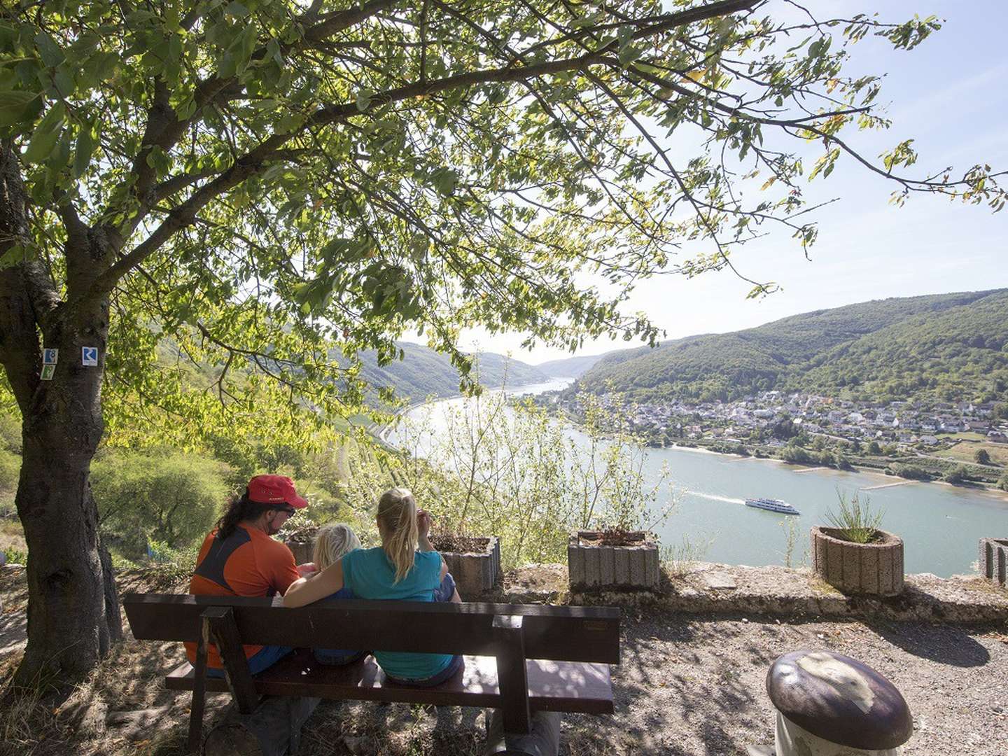 2 Tage Last Minute im Rheingau - Wandern inmitten schönster Natur