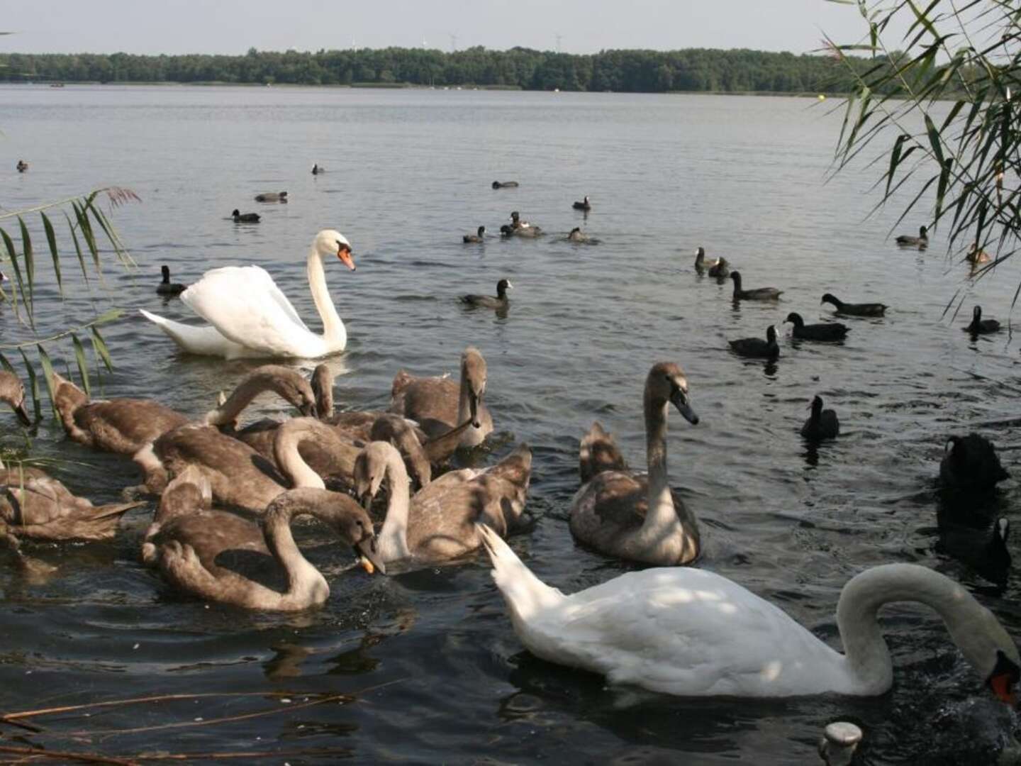 Kleine Auszeit für 6 Tage im Fläming 