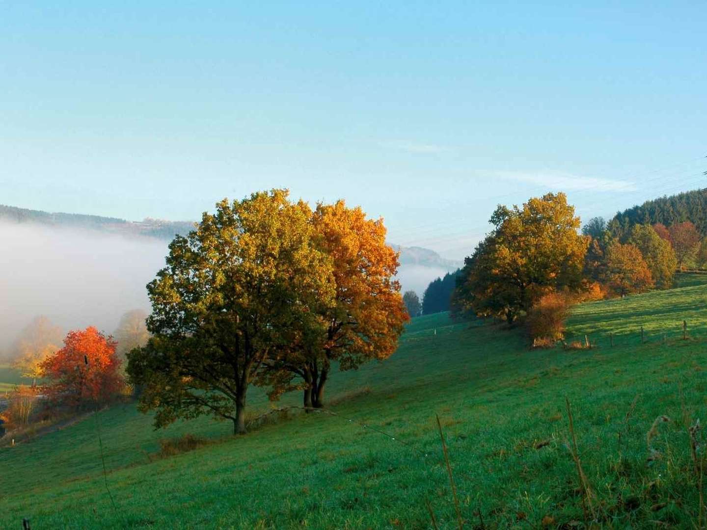 Kurztripp ins Sauerland 3 Tage inkl. Halbpension