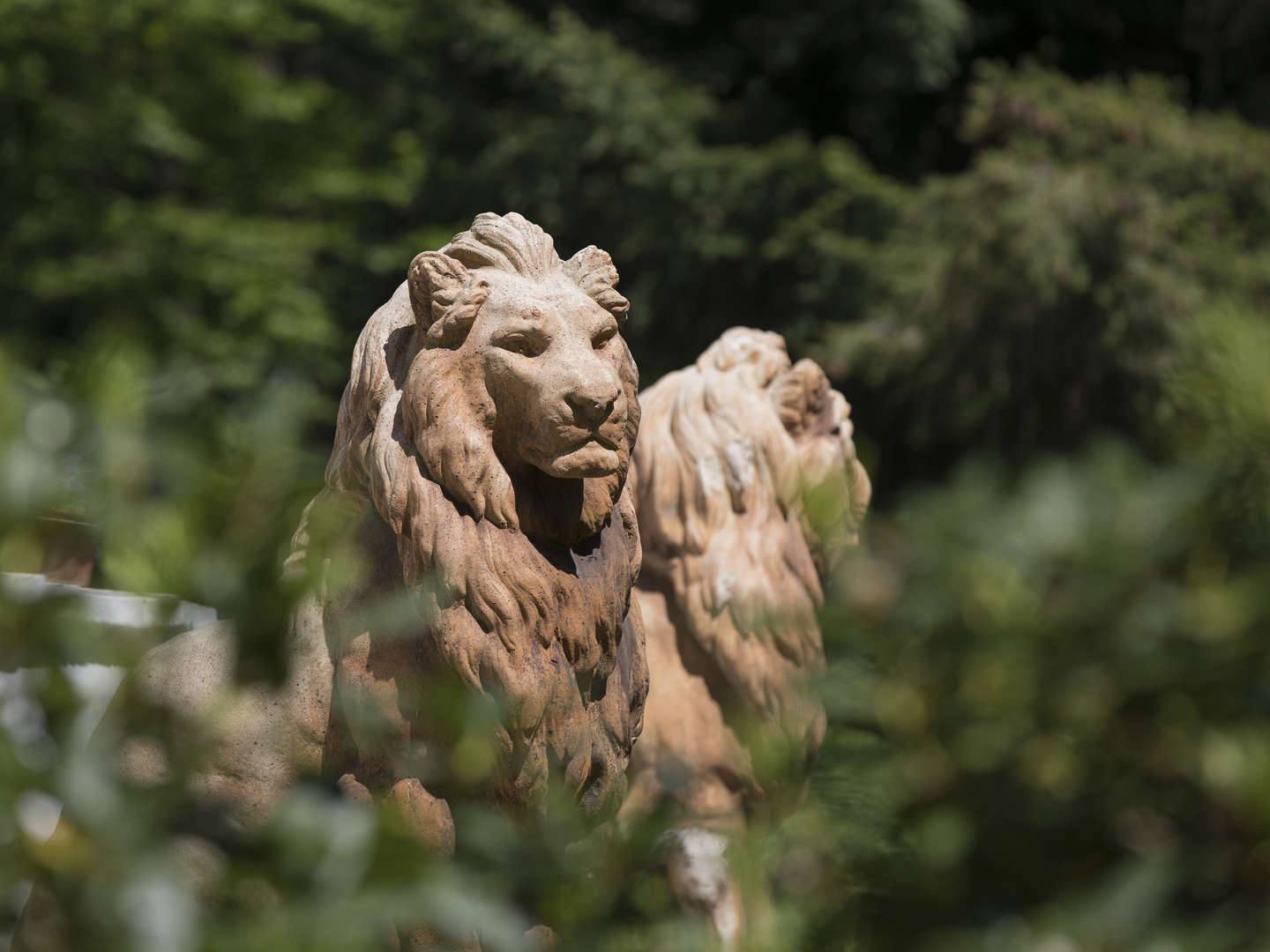 4 Romantische Schloßtage im Kaiserbad Heringsdorf