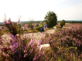 Wandern & Genießen im Naturpark Südheide | 6 Tage