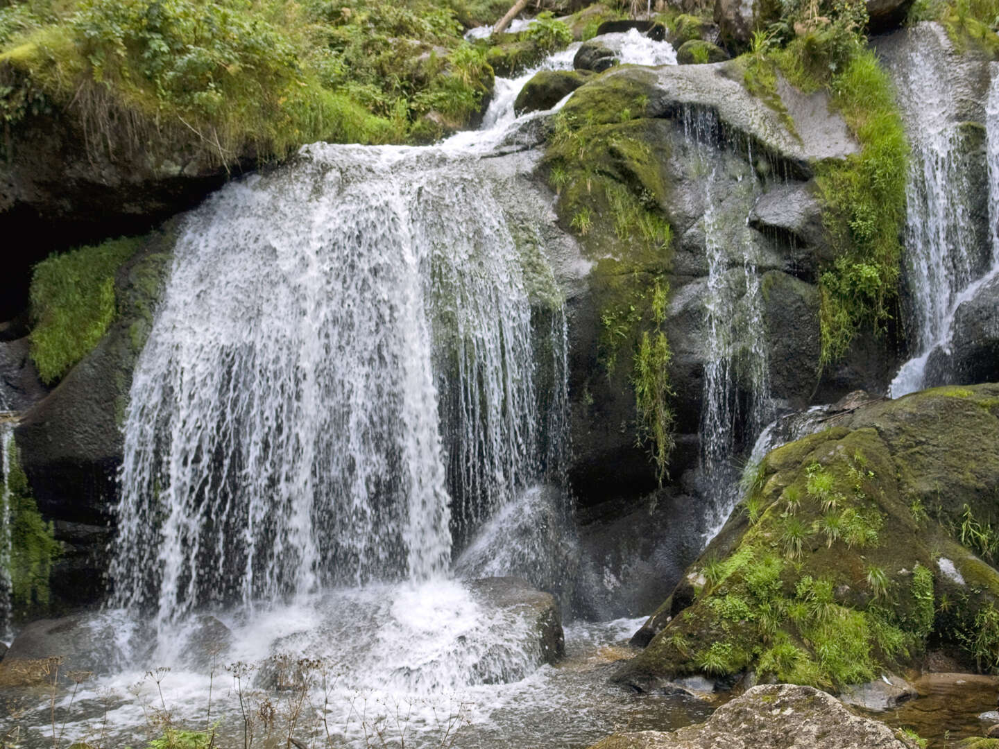 Wanderlust: Wandern im Schwarzwald und der Wutachschlucht- 4 Tage