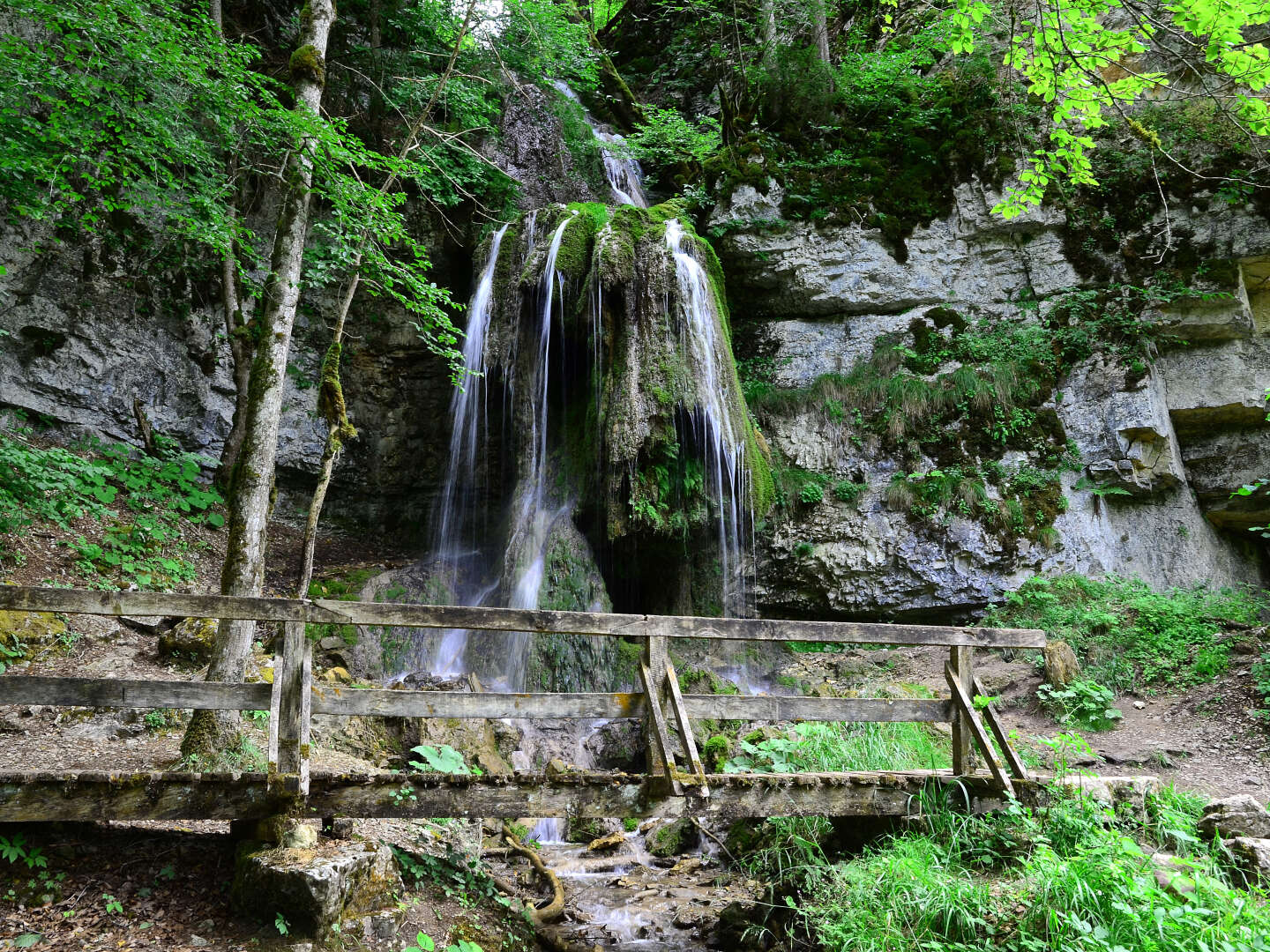 Schwarzwaldwoche  7=6 mit Solemar-Therme