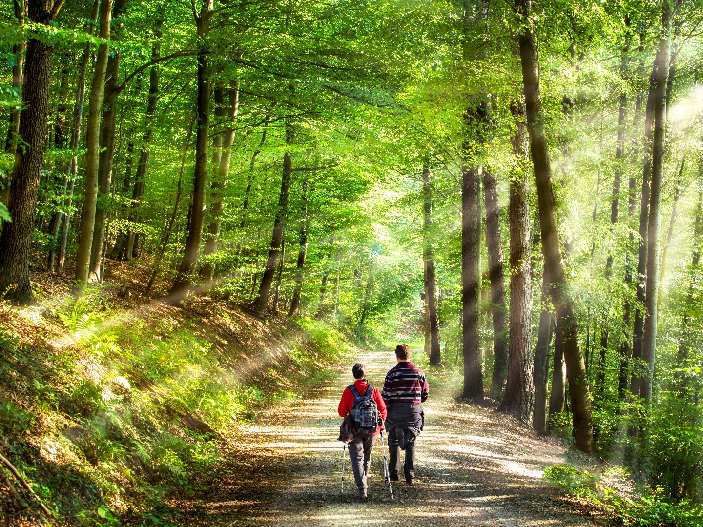 Ostertage im Sauerland inkl. Schlemmer-Dinner | 4 Tage