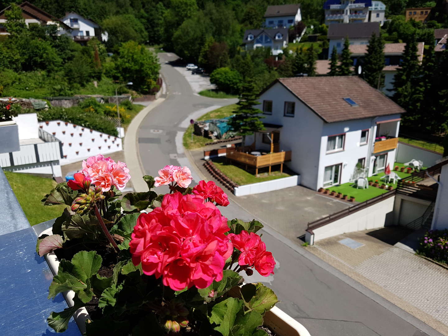 6 Tage Kurzurlaub zum Entspannen im Harz 