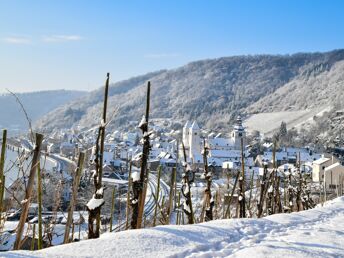 3 Tage -  Kurztrip an die Mosel für Genießer inkl. HP