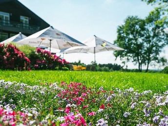 Den Herbst in der Heide genießen inkl. Abendessen