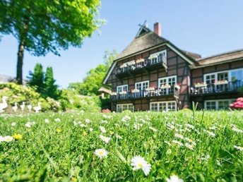 Sommerzeit ist Heidezeit 3 Nächte