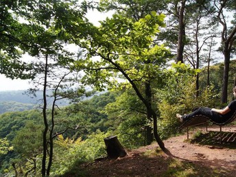 Wandern im Dreiländereck  3 Nächte, inkl. Saarland Card  