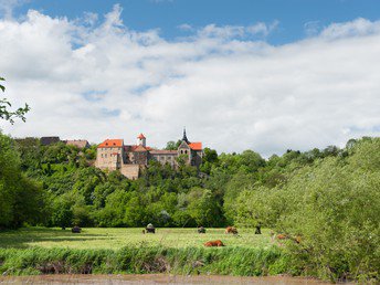 Wander Wellness - Entspannung für Körper und Geist im Thüringer Wald