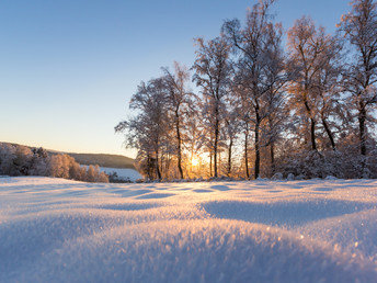 Winterwandern - Schneeballschlacht - verschneite Berge im Thüringer Wald