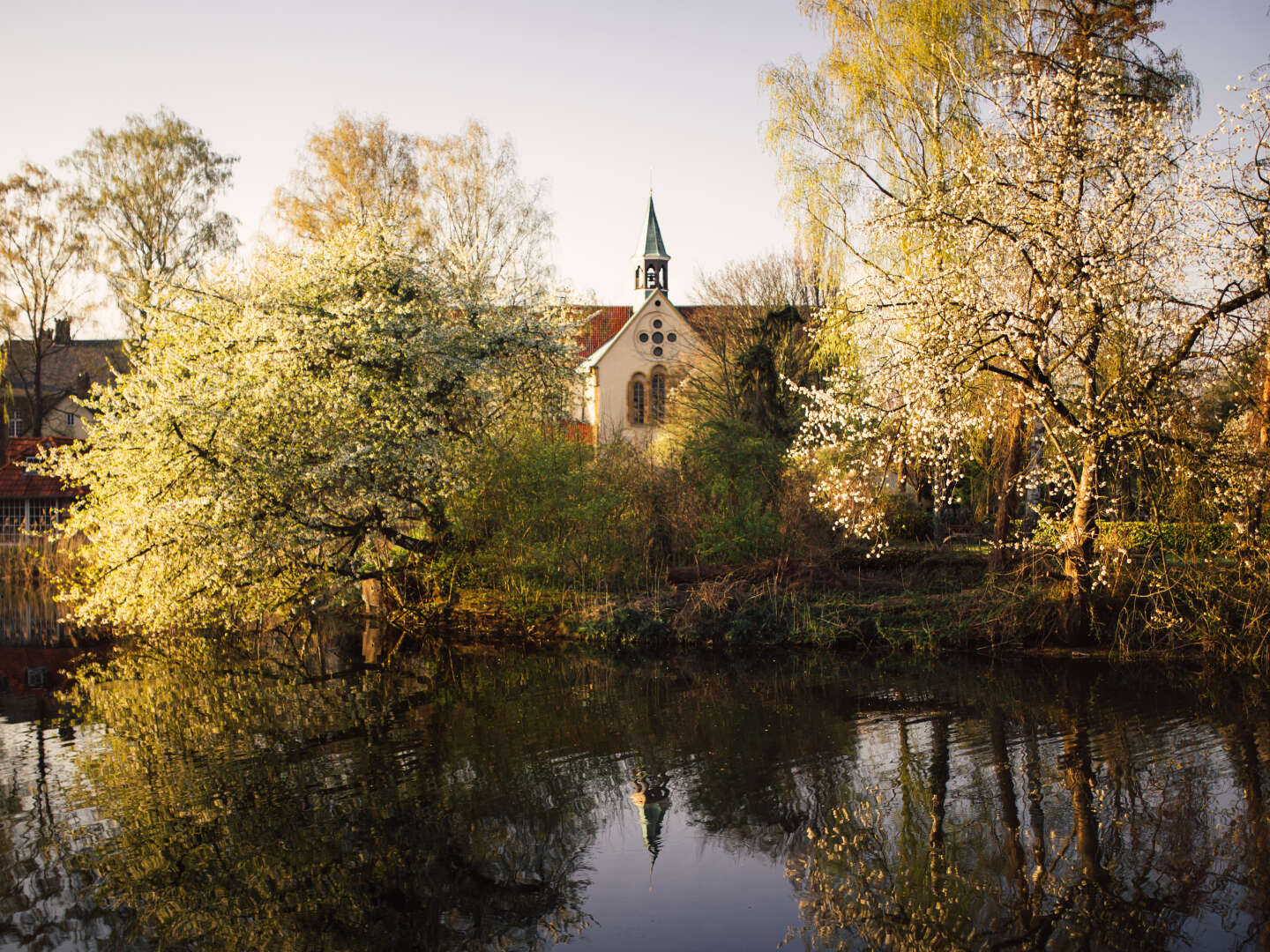 Honeymoon im Teutoburger Wald - 1 romantische Nacht inkl. 6-Gang-Schlemmermenü & Champagner