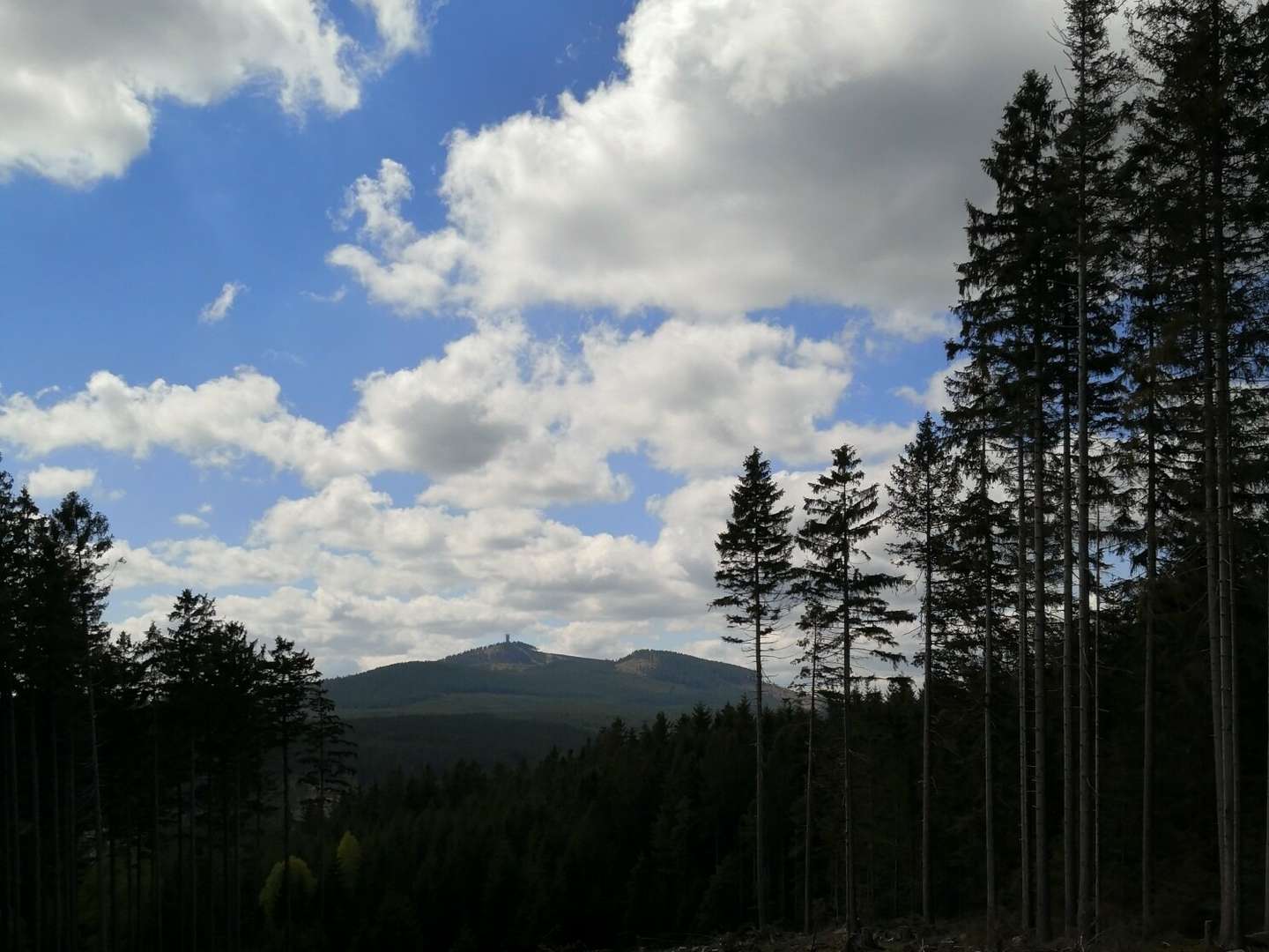 Fahrrad-/Mountainbiker-Paket im Harz inkl. Halbpension