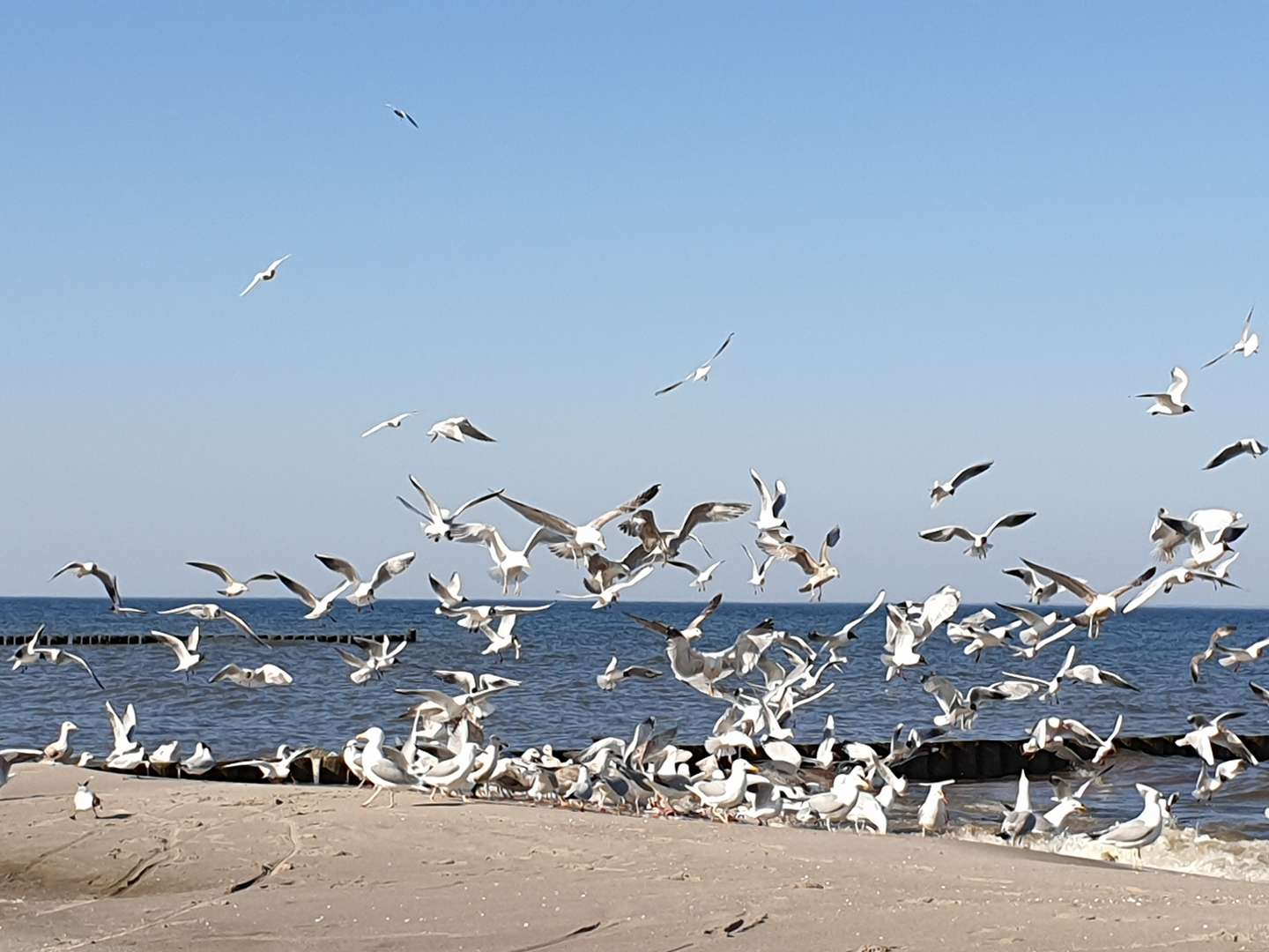 Goldener Herbst auf Usedom / 5 Nächte