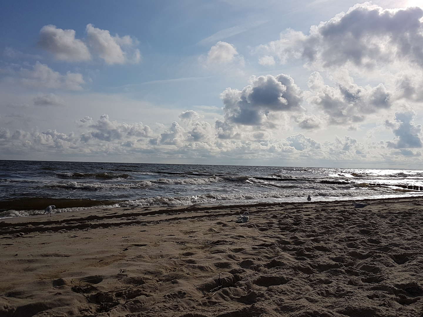 Ostseebrise auf Usedom / 7 Nächte