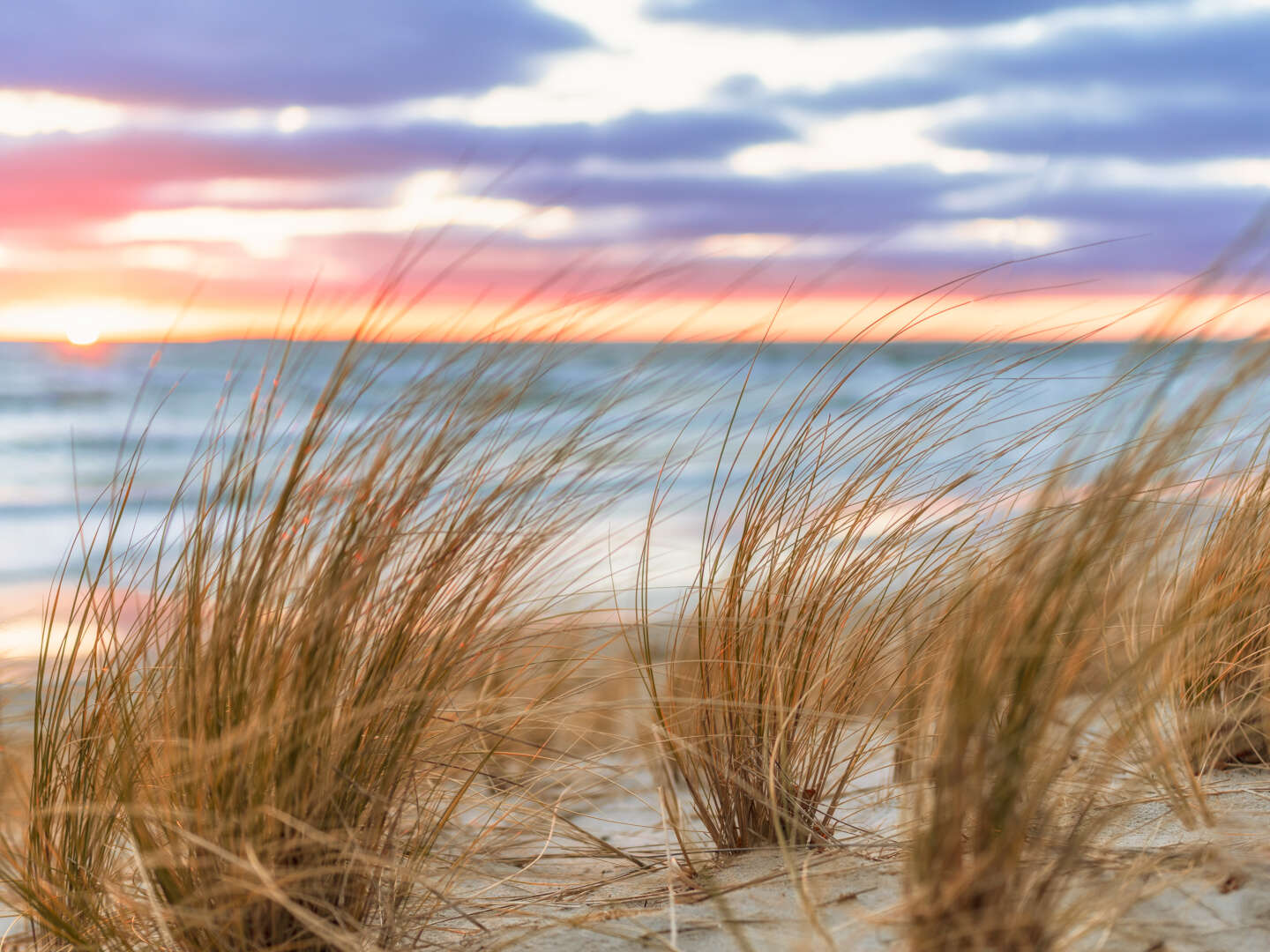 Goldener Herbst in Kölpinsee auf Usedom / 3 Nächte