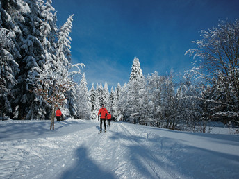 Natur pur im Vogtland  - 3 Tage inkl. Halbpension