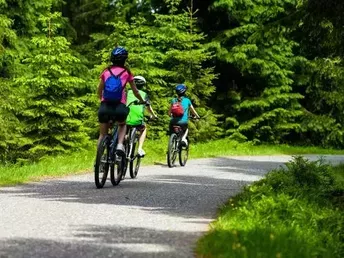 Natur pur im Vogtland  - 3 Tage inkl. Halbpension