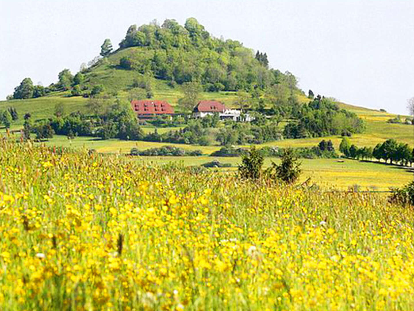 Endlich wieder Hohenkarpfen - Romantik in der Bodensee-Region