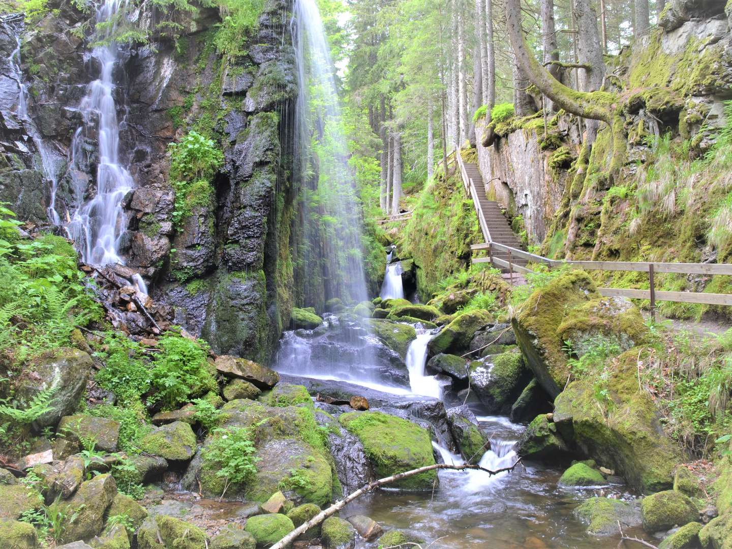 Kuschelstunden zu Zweit im romantischen Schwarzwald - 4 Tage mit Candle Light Diner & Therme