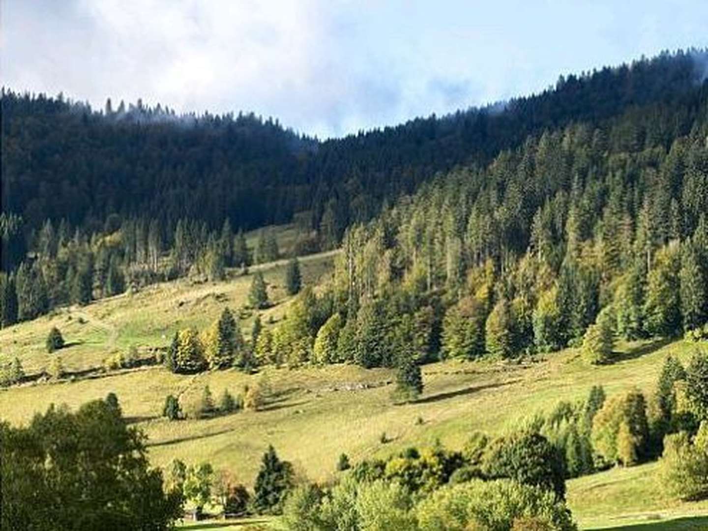 4 Tage Am Fuß des Feldberg  