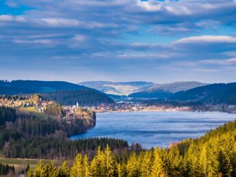 Kurze Auszeit im Wohlfühl-Appartement zwischen Titisee & Schluchsee