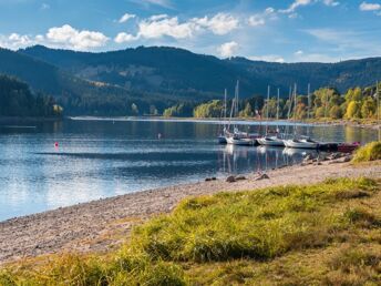 3 Tage Wandern im Schwarzwald 