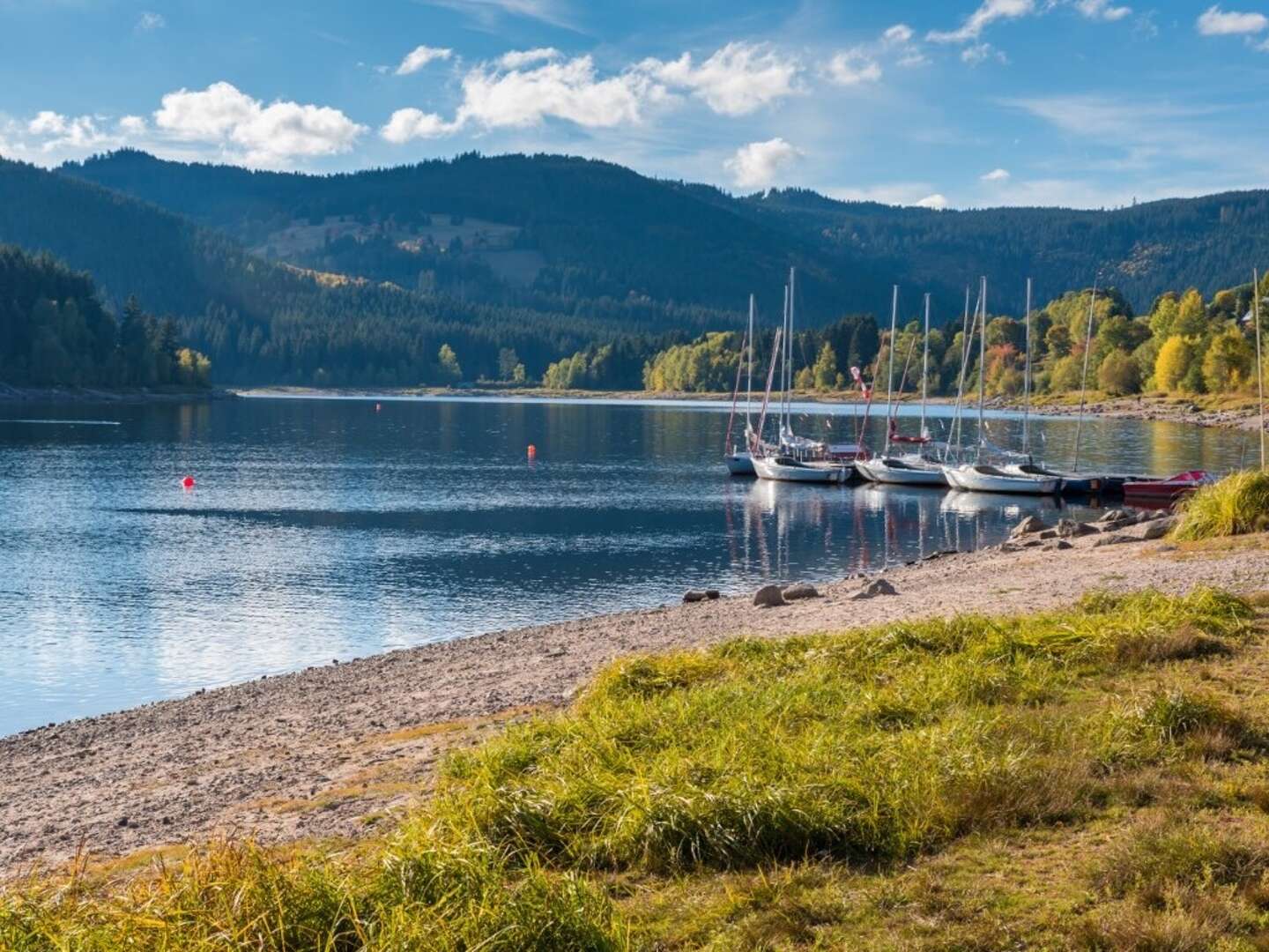 Kuschelstunden zu Zweit im romantischen Schwarzwald - 2 Tage mit Candle Light Diner