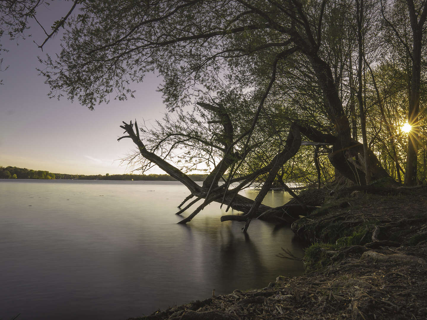 Herbstferien- Berlin- Special - 3 Tage am Tegeler See inkl. Welcome-Card 