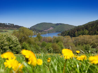 7 Tage Wandern auf dem Sauerland Höhenflug inkl. 1 x Verwöhn-Halbpension