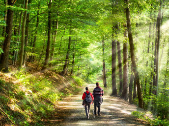 3 Tage Wandern auf dem Sauerland Höhenflug inkl. Verwöhn-Halbpension