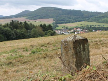 Kurvenreiches Pfälzer Bergland