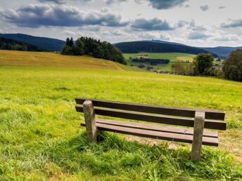 3 Tage Kurzauszeit „Streicheleinheit für die Seele“ inkl. Verwöhnmassage