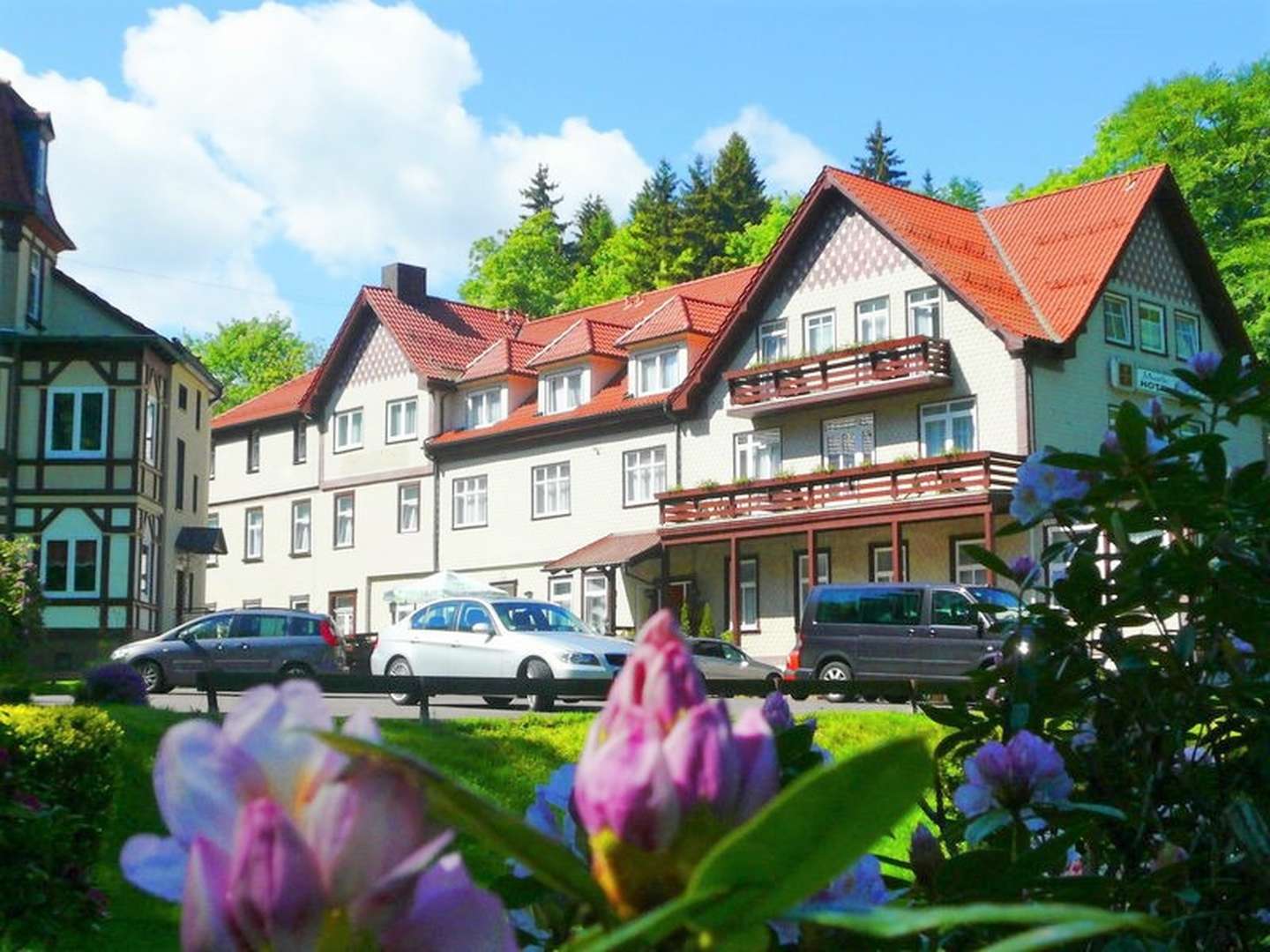 Kurz mal raus... in den Thüringer Wald