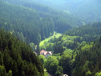 Kurz mal raus... in den Thüringer Wald