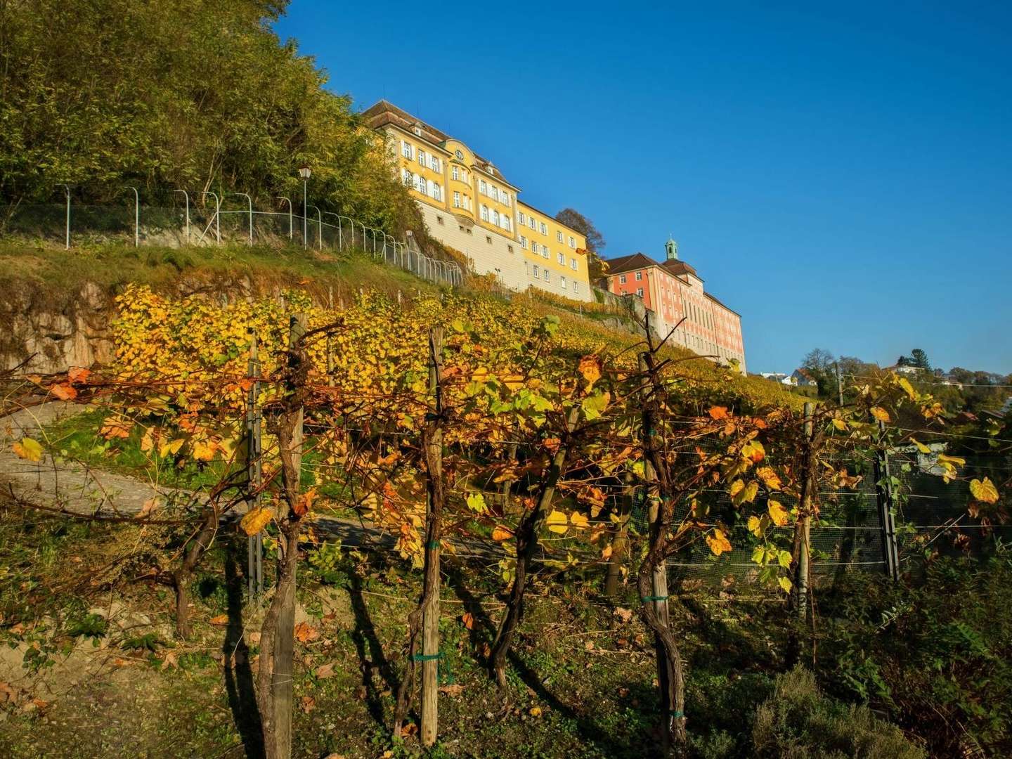 5 Tage Kurzurlaub am Bodensee 