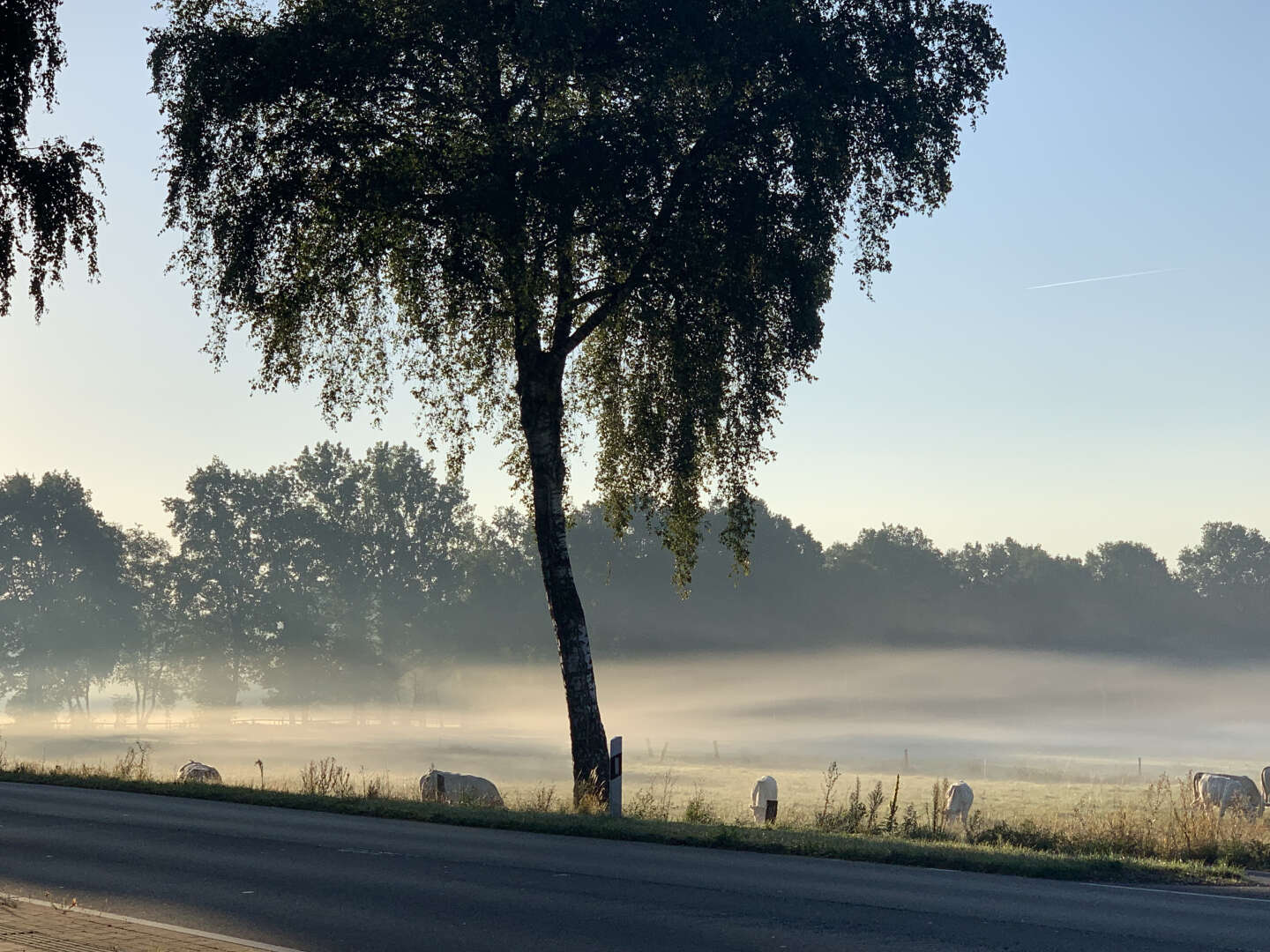 Auf Schnäppchenjagd in der Nähe von Bremen