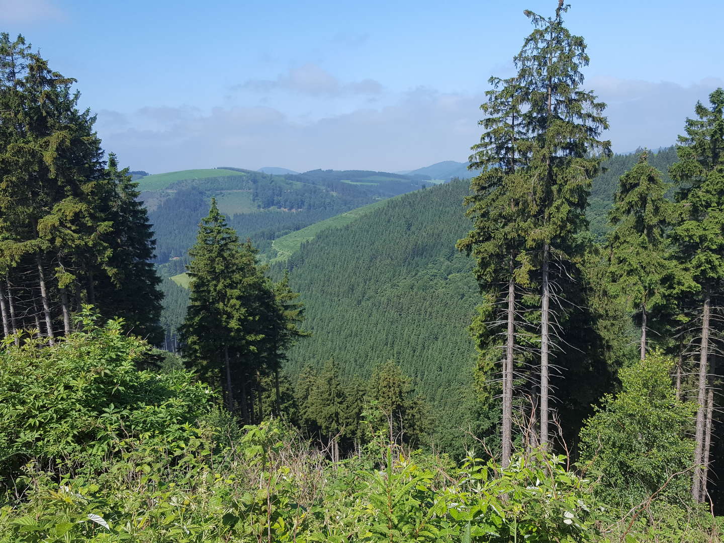 4 Tage Radfahren im Sauerland inkl. Sauna