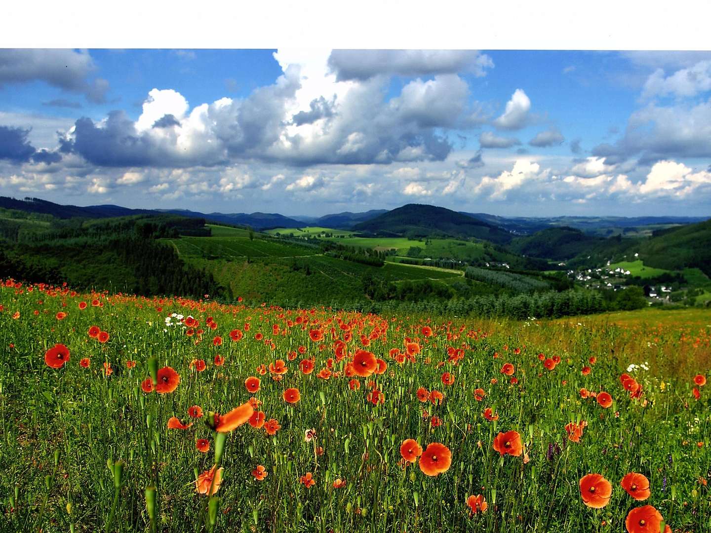 Wanderpauschale im Hochsauerland - 6 Tage   5 Nächte