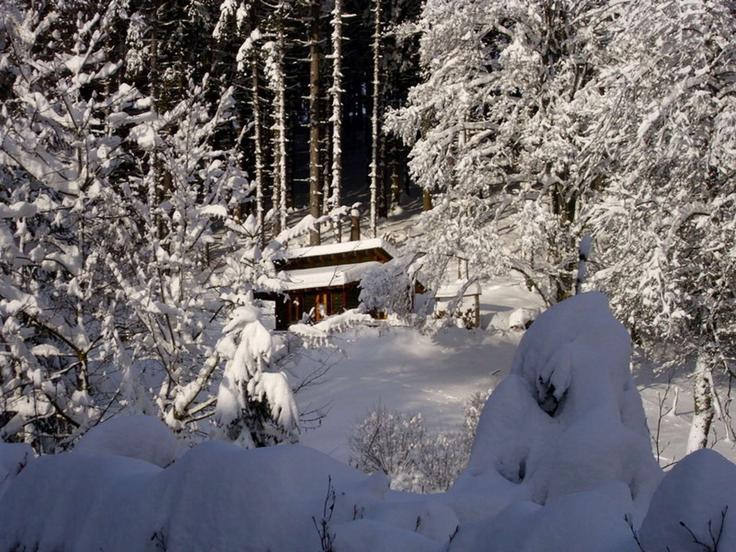 Wanderpauschale im Sauerland inkl. HP | 4 Nächte - Anreise So & Mo