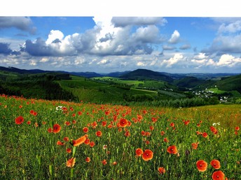 Wanderpauschale im Sauerland inkl. HP | 4 Nächte - Anreise So & Mo