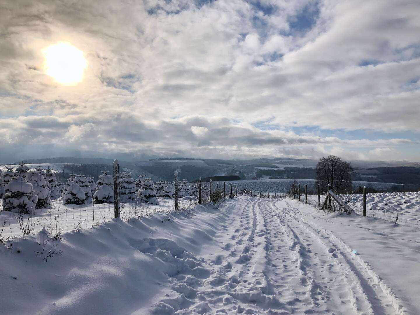 4 Tage Radfahren im Sauerland inkl. Sauna