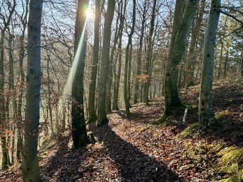 4 Tage Radfahren im Sauerland inkl. Sauna