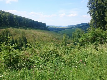 Wanderpauschale im Sauerland inkl. HP | 3 Nächte