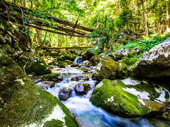 5 Tage Wanderurlaub am schönen Tegernsee 