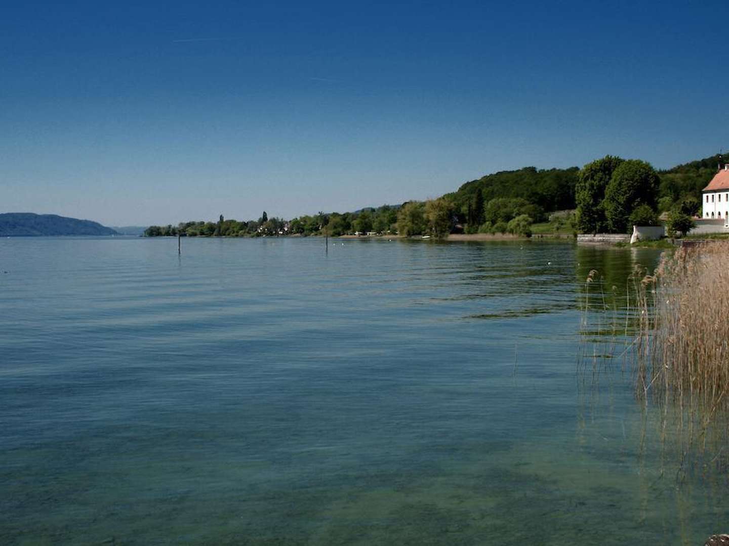 Bodensee Prickelnde Woche