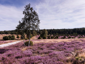 Wellness- Thermenurlaub inkl. Hot-Stone Massage in der Lüneburger Heide 