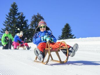 Rodelspaß im Sauerland