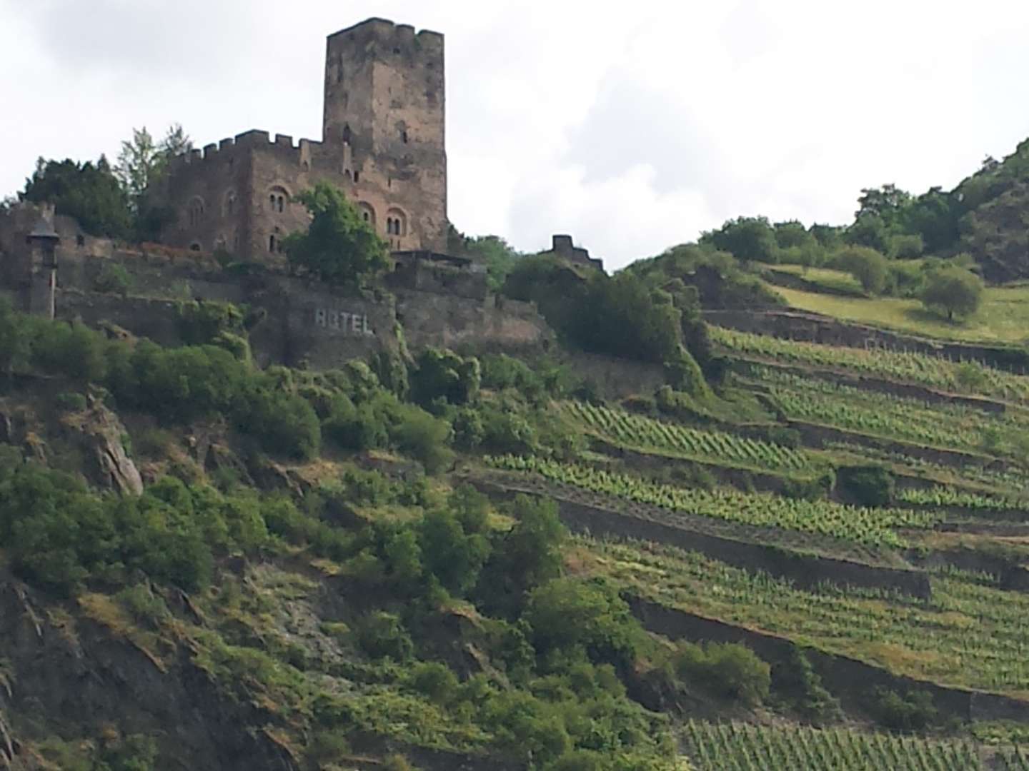 6 Tage - Rheingau erleben! inkl. € 30 Gutschein für ein Abendessen